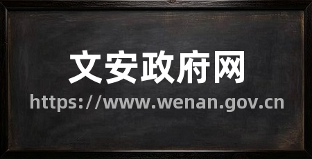 文安政府网