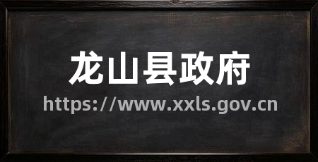 龙山县政府