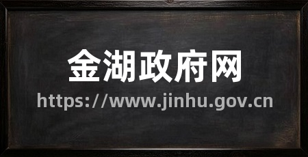金湖政府网