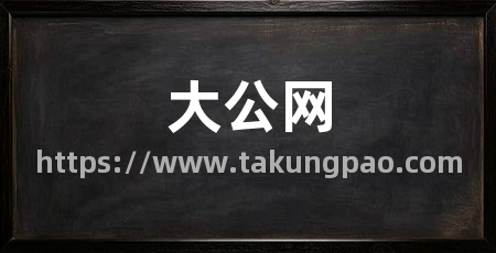 大公网