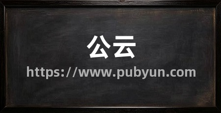 公云