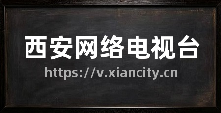 西安网络电视台