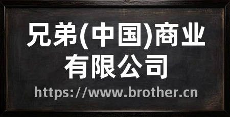 兄弟(中国)商业有限公司