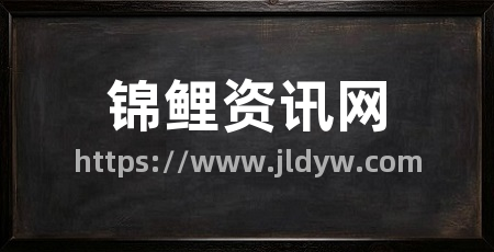 锦鲤资讯网