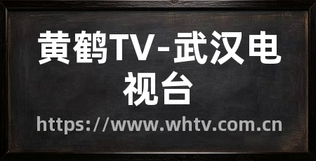 黄鹤TV-武汉电视台