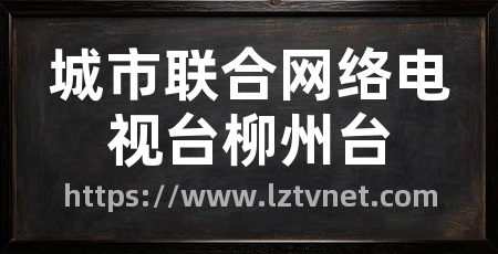 城市联合网络电视台柳州台