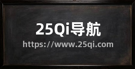 25Qi导航