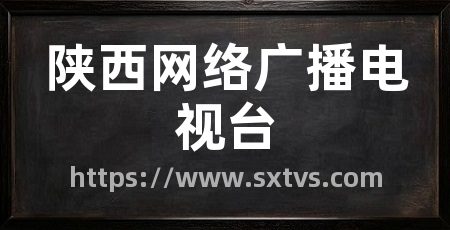 陕西网络广播电视台