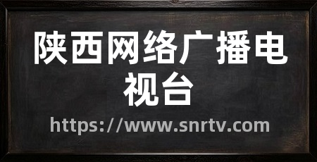 陕西网络广播电视台