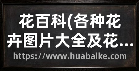 花百科(各种花卉图片大全及花名)