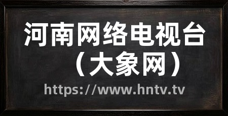 河南网络电视台(大象网)