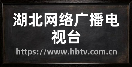 湖北网络广播电视台