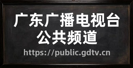 广东广播电视台公共频道