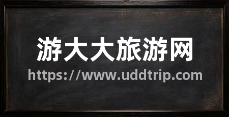 游大大旅游网