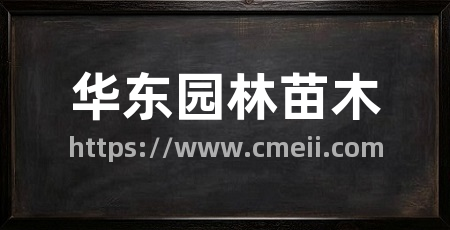 华东园林苗木