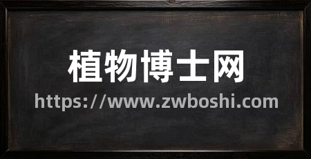 植物博士网