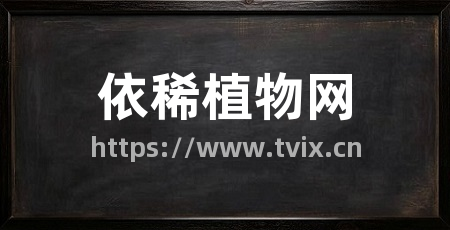 依稀植物网