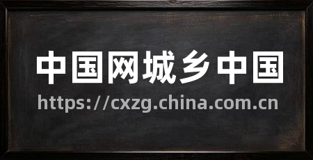 中国网城乡中国