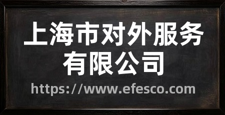 上海市对外服务有限公司