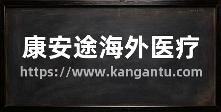 康安途海外医疗