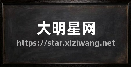 大明星网