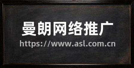 曼朗网络推广
