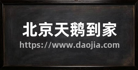 北京天鹅到家