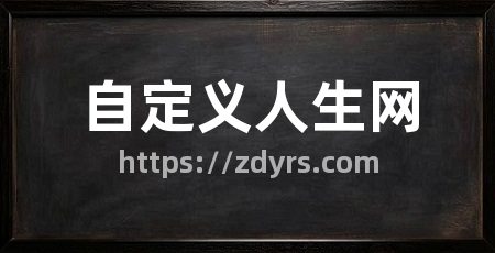 自定义人生网