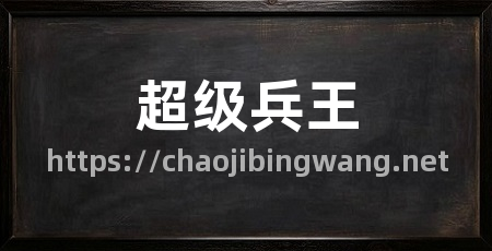超级兵王