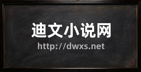 迪文小说网