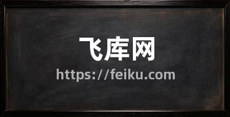 飞库网
