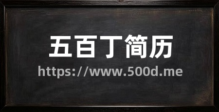 五百丁简历