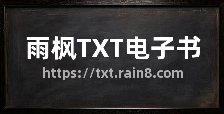 雨枫TXT电子书