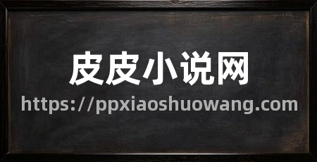 皮皮小说网