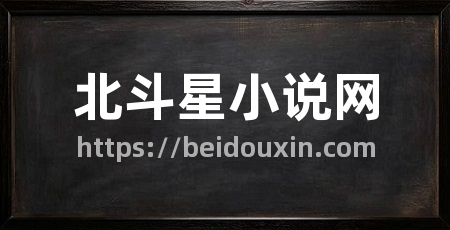 北斗星小说网