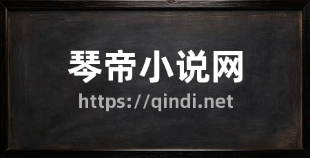 琴帝小说网
