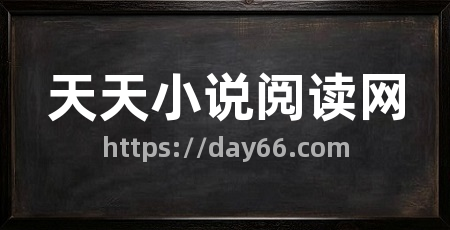 天天小说阅读网