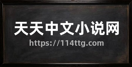 天天中文小说网