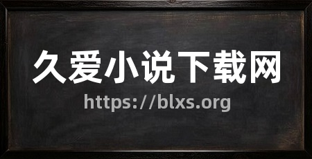 久爱小说下载网