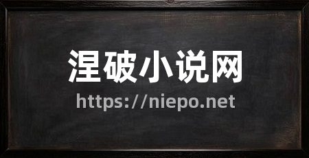 涅破小说网