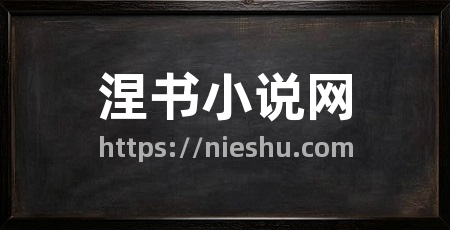 涅书小说网