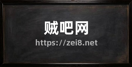 贼吧网
