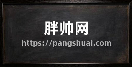 胖帅网