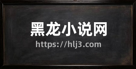 黑龙小说网