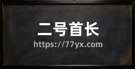 二号首长