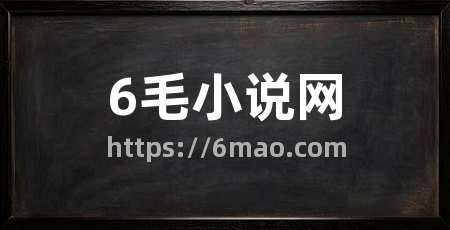 6毛小说网