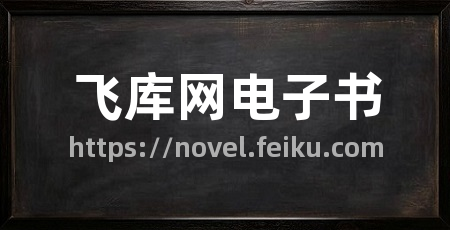 飞库网电子书