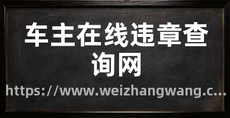 车主在线违章查询网