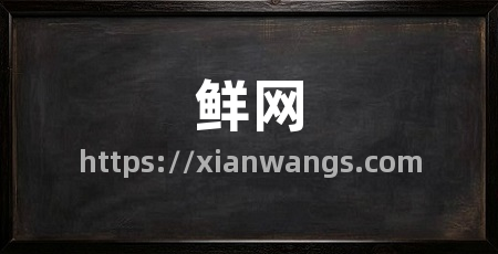 鲜网