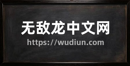 无敌龙中文网